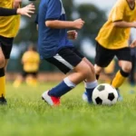 Hướng Dẫn Đọc Tỷ Lệ Kèo Chuẩn Cho Người Mới Bắt Đầu