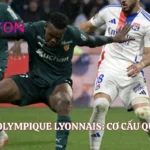 Chủ Sở Hữu Olympique Lyonnais: Cơ Cấu Quản Trị Lyon