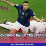 Các Vị Trí Trong Bóng Đá: Vai Trò Và Cách Bố Trí | Lyon