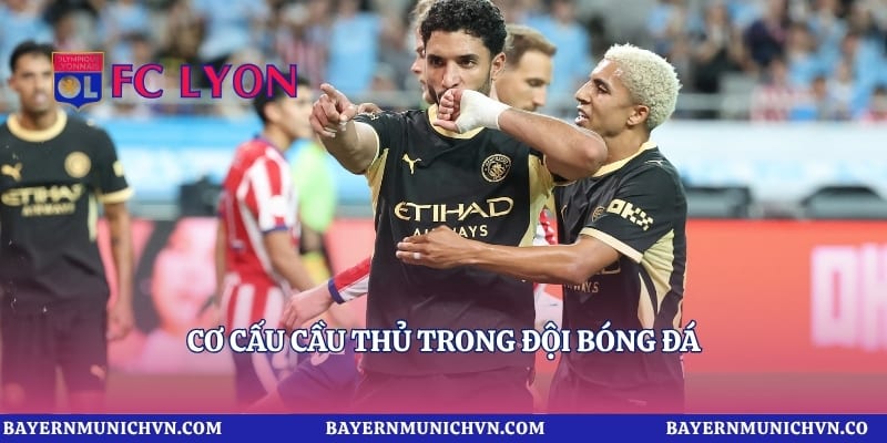 Cơ cấu cầu thủ trong đội bóng đá