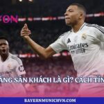 Luật Bàn Thắng Sân Khách Là Gì? Cách Tính Cùng Lyon