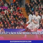 Luật Việt Vị Là Gì? Cách Xác Định Chính Xác Cùng Lyon