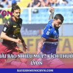 Sân bóng đá dài bao nhiêu mét? Kích thước chuẩn cùng Lyon